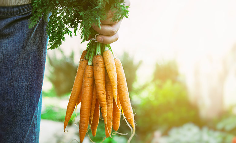 Agriculture Miracle you Don&rsquo;t Know About