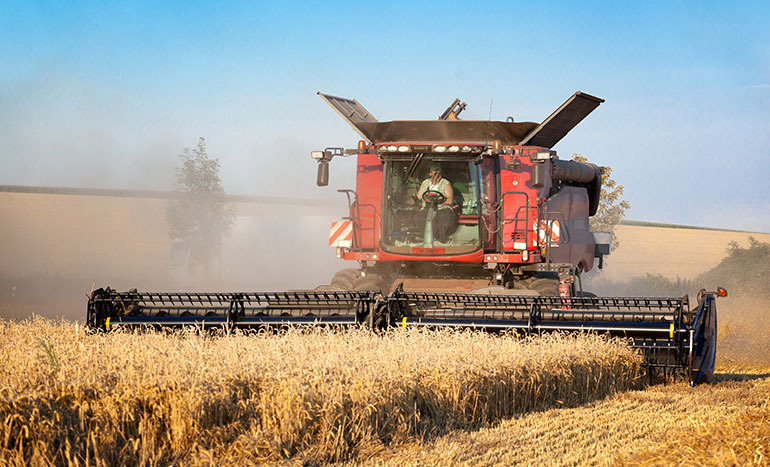 Agriculture Miracle you Don&rsquo;t Know About